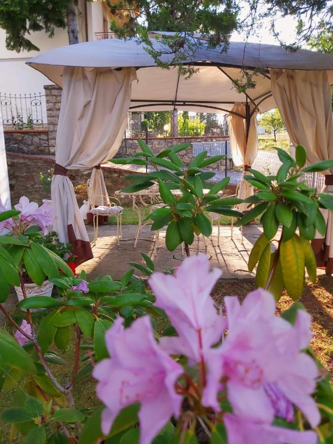 Villa Elvira Ambra Extérieur photo